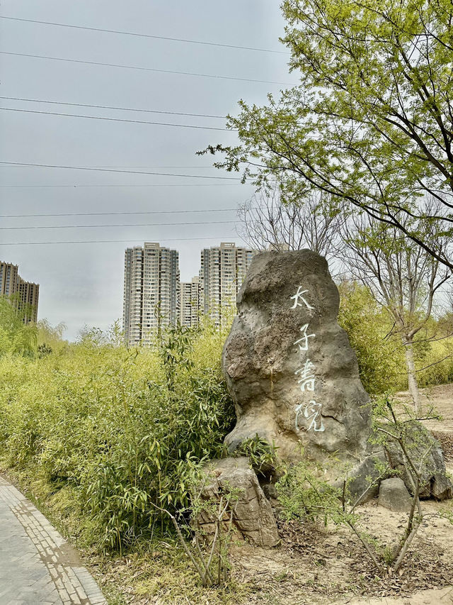City Calm, Lakeside Light – A Pause at Xiliu Lake Park