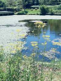 Hikarinooka Waterside Park