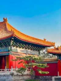 Imperial Ancestral Temple – Where Ming Dragons Still Whisper