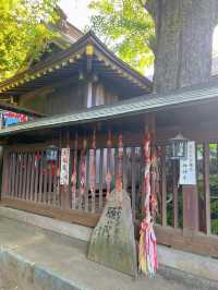 【千葉】むすびの神様に会いに行こう!!