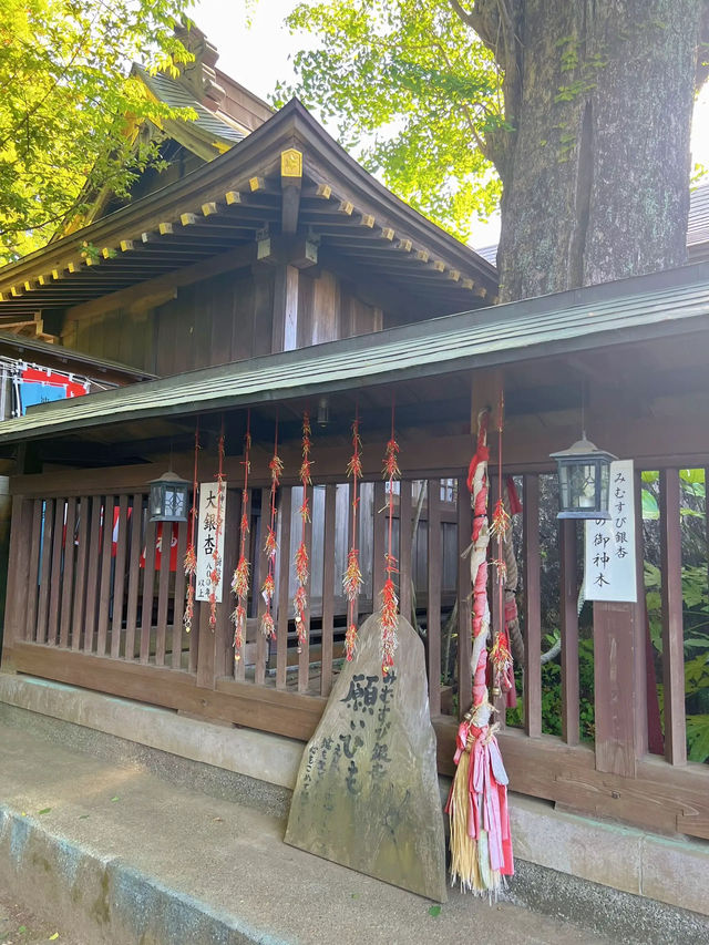 【千葉】むすびの神様に会いに行こう!!