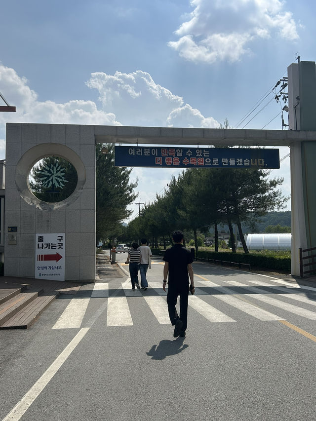 푸르름이 머무르는 길, 청주 수목원 추천 🌸🌼