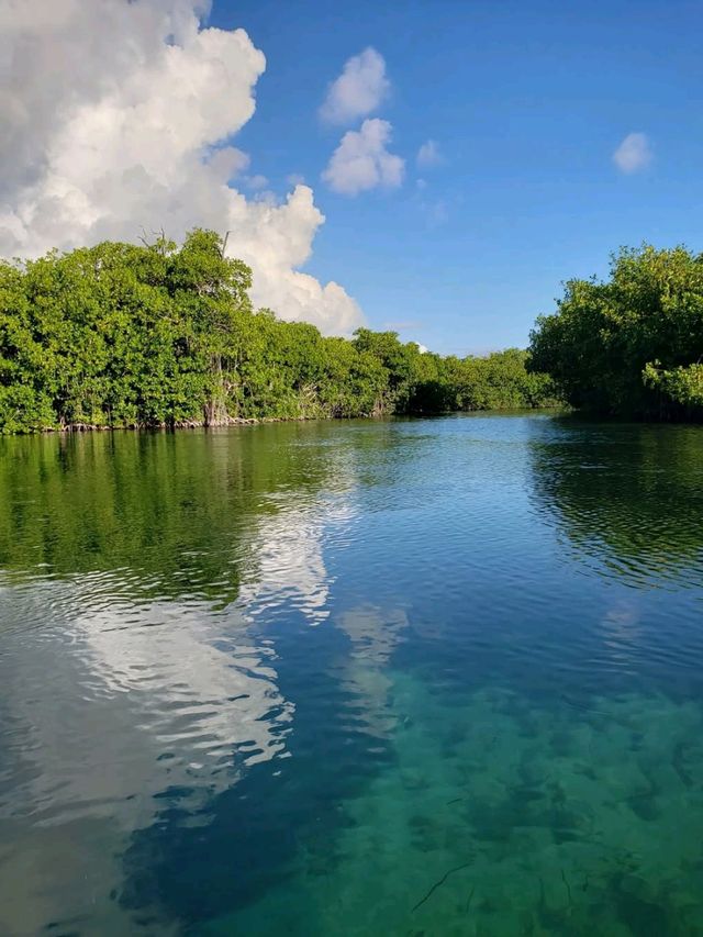 Nature Breezes at Laguna Nichupté