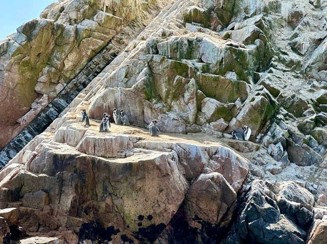 Islas Ballestas – “Peru’s Mini-Galápagos by the Sea”