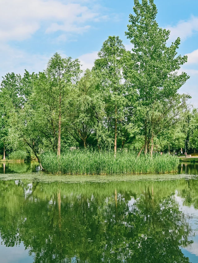 Shaoxing｜Tea by the River at Keqiao Ancient Town – A Hidden Gem for Slow Living