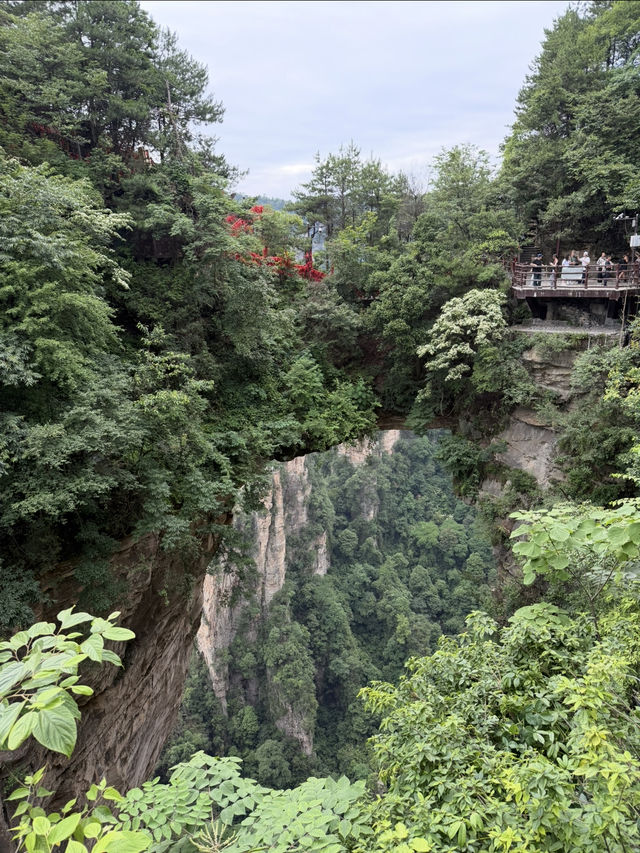 Breathtaking Landscapes of Zhangjiajie