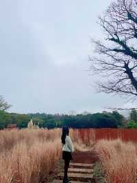 🐾 제주에서 만나는 귀여움 폭발! 스누피가든 여행기 🌸