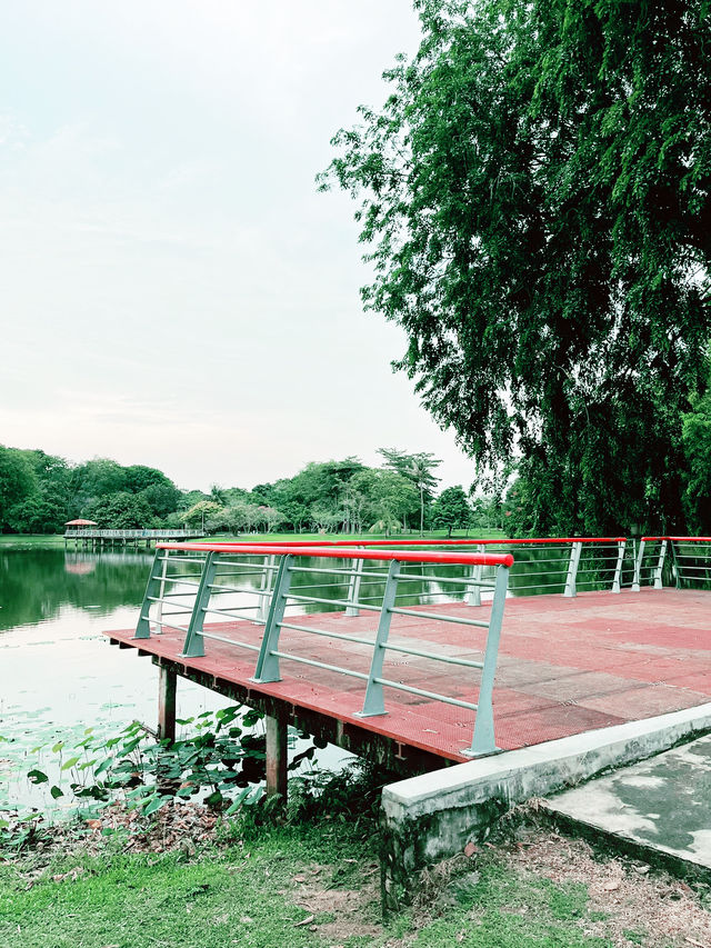 Serene Escapes at Taman Tasik Cyberjaya