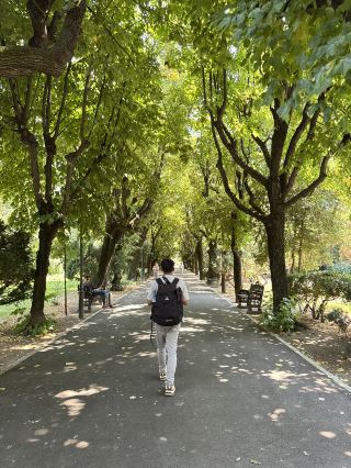 CISMIGIU GARDEN: A PEACEFUL ESCAPE IN THE HEART OF THE CITY