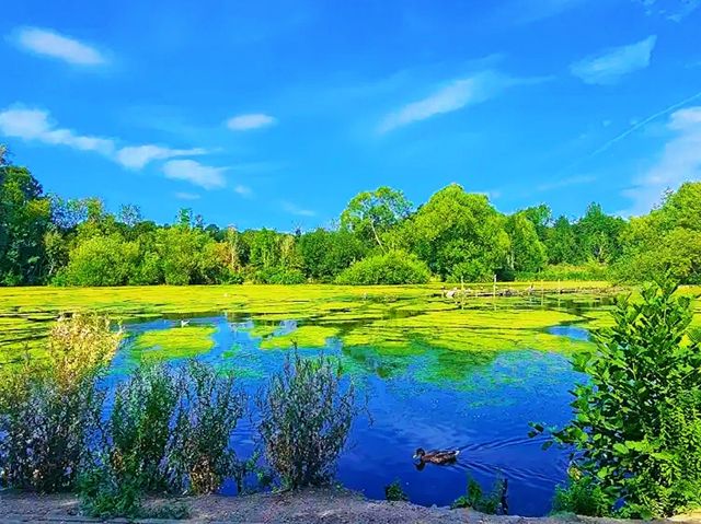 Reddish Vale Country Park – Nature on the Edge of the City Reddish Vale Country Park – Nature on the Edge of the City