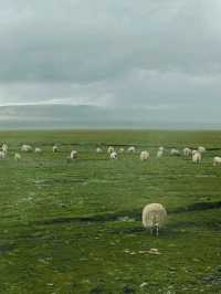 Blue Soul of Tibet: Journey to Namtso Lake