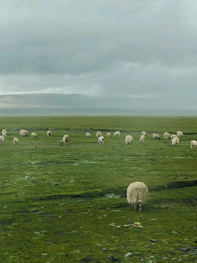 Blue Soul of Tibet: Journey to Namtso Lake