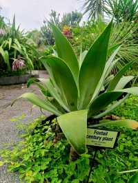 the Secret Garden, Upper Roof @ One Utama, Petaling jaya