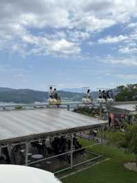 Day Trip to Amanohashidate & Ine Fishing Bay