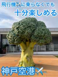 altTitle