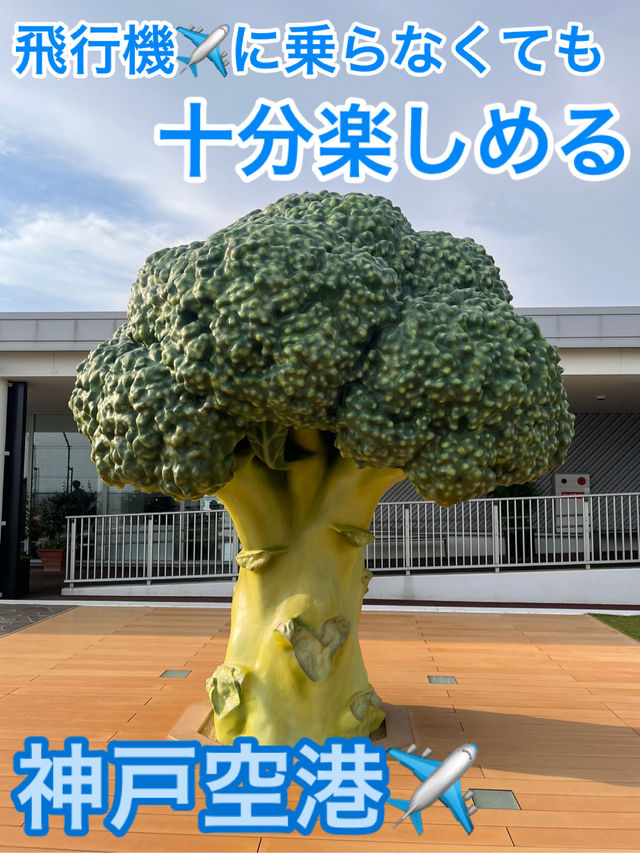 altTitle altTitle