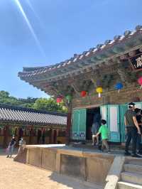 한국의 전통을 볼 수 있는 경주 1박 2일 여행 기록🇰🇷