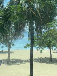 รีวิว % Arabica (Repulse Bay)