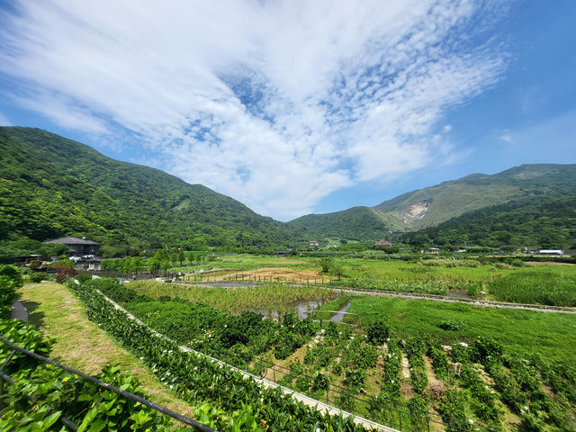 名陽匍休閒農莊：陽明山花季中的秘境天地