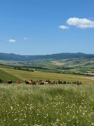 Magurka Orawska การหลบหนีอันเงียบสงบในภูมิภาค Orava