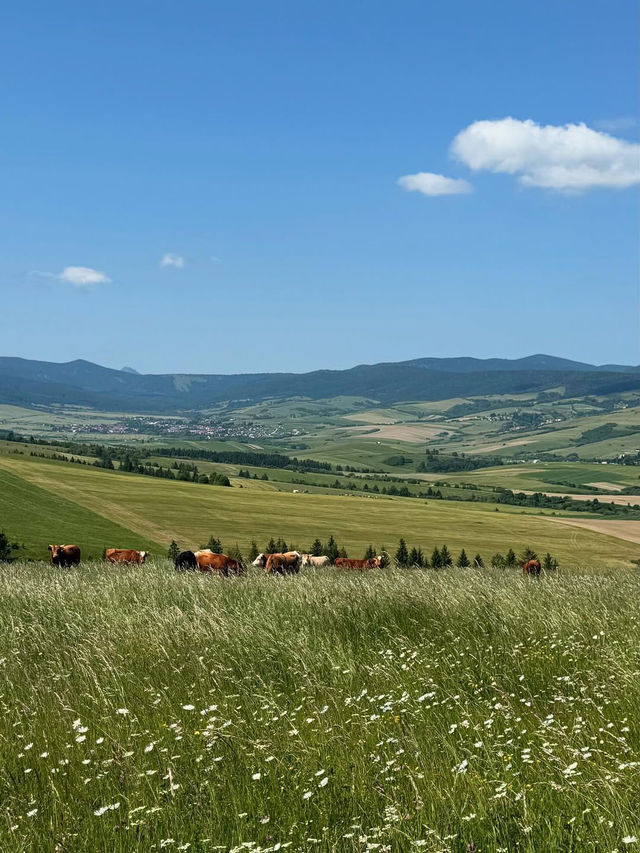 Magurka Orawska A Peaceful Escape in the Orava Region