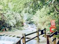 🌿「追隨水聲，一步步走進山林的心跳節奏。」