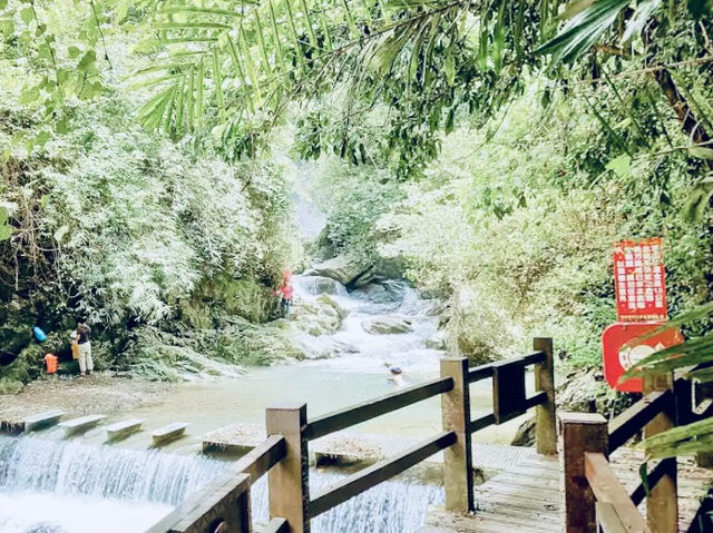 🌿「追隨水聲，一步步走進山林的心跳節奏。」