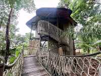 รีวิวที่พักบนเกาะยาวน้อยTreeHouse Villas