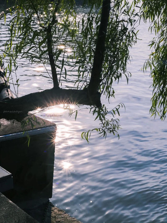 Wuxi and Taihu