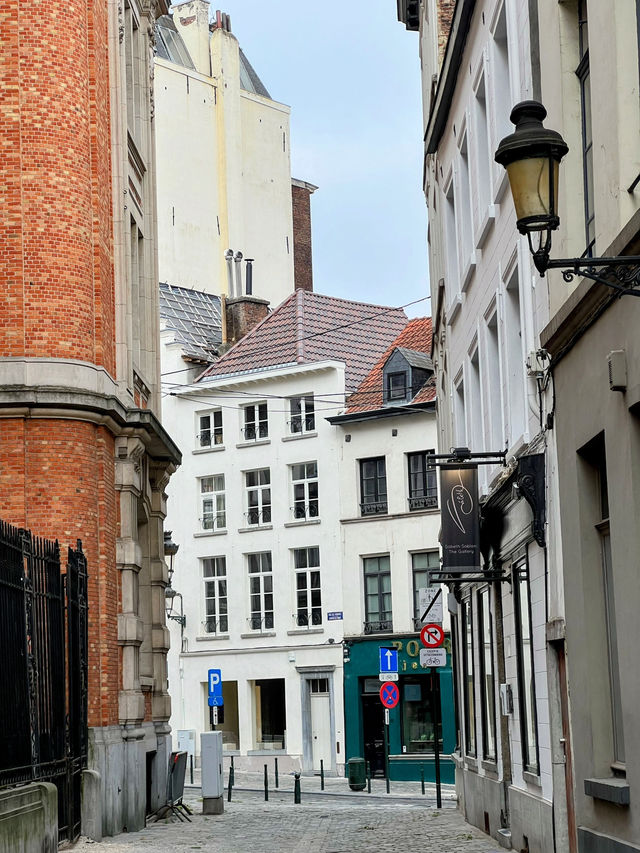 🇧🇪 比利時:布魯塞爾(Bruxelles) 🍫 🇧🇪 比利時:布魯塞爾(Bruxelles) 🍫
