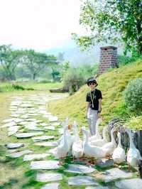สวนสัตว์ Alpaca Hill