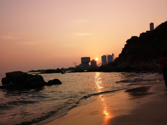 日落下的南蓮園池秘境🌅   日落下的南蓮園池秘境🌅