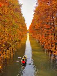 Tiger Hill (Huqiu Shan), Suzhou in Autumn