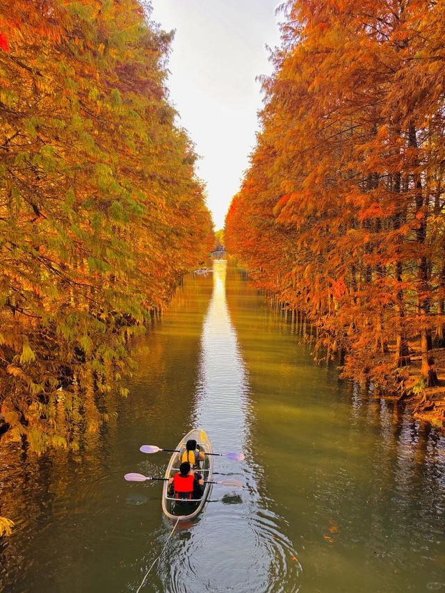Tiger Hill (Huqiu Shan), Suzhou in Autumn
