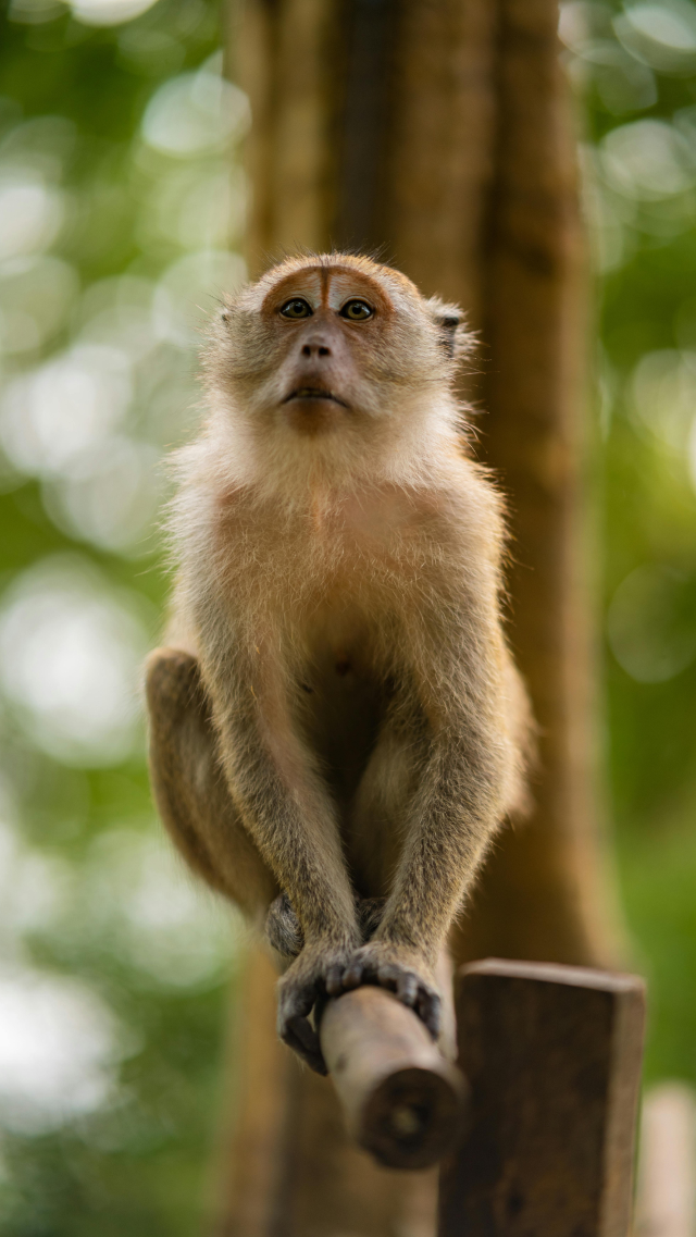 กระบี่ไม่ใช่แค่ปลายทาง...แต่คือความทรงจำที่ทะเลบอกเล่าได้ทุกคลื่น กระบี่ไม่ใช่แค่ปลายทาง...แต่คือความทรงจำที่ทะเลบอกเล่าได้ทุกคลื่น