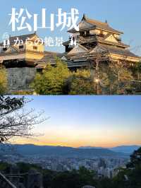 江戸時代以前の天守が残る松山城 