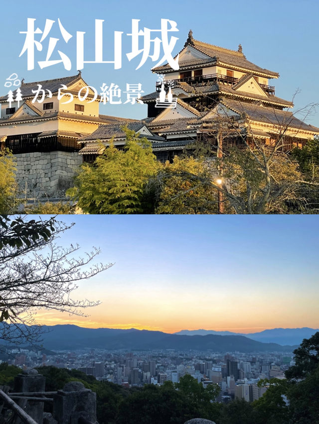 江戸時代以前の天守が残る松山城 