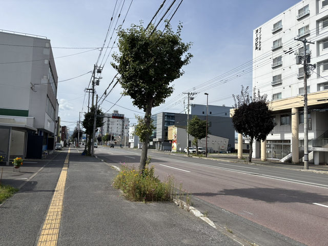 旭川常盤圓環First Love 初戀浪漫取景地