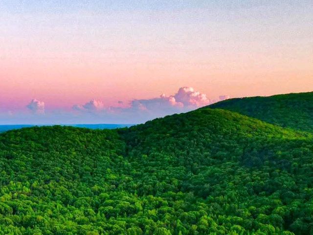 Beauty Scene Beauty Scene