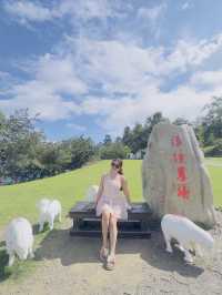 Taipei 5 Days Itinerary