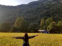 Toilet Travel & Nature Wonders: Changsha, Zhangjiajie, & Fenghuang Adventure 🌄🚽