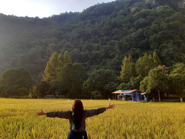 Toilet Travel & Nature Wonders: Changsha, Zhangjiajie, & Fenghuang Adventure 🌄🚽