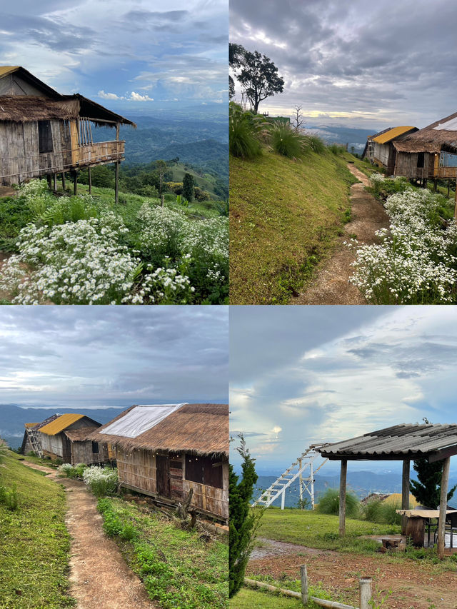 ที่พักบนดอยแม่มอญเชียงราย  ที่พักบนดอยแม่มอญเชียงราย