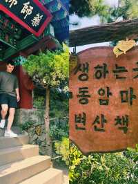 바다와 맞닿은 고요, 해동용궁사에서의 감성 산책