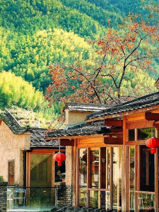 “The Golden Charm of Screenshan: Fujian’s Autumn Wonderland”