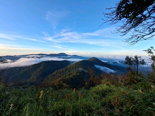 Cloudy Mountain Views🌄