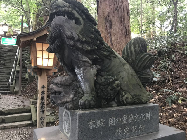 【高千穂神社】夫婦杉に願う♡神話の里で縁結びパワーを感じて⛩️🌲 【高千穂神社】夫婦杉に願う♡神話の里で縁結びパワーを感じて⛩️🌲