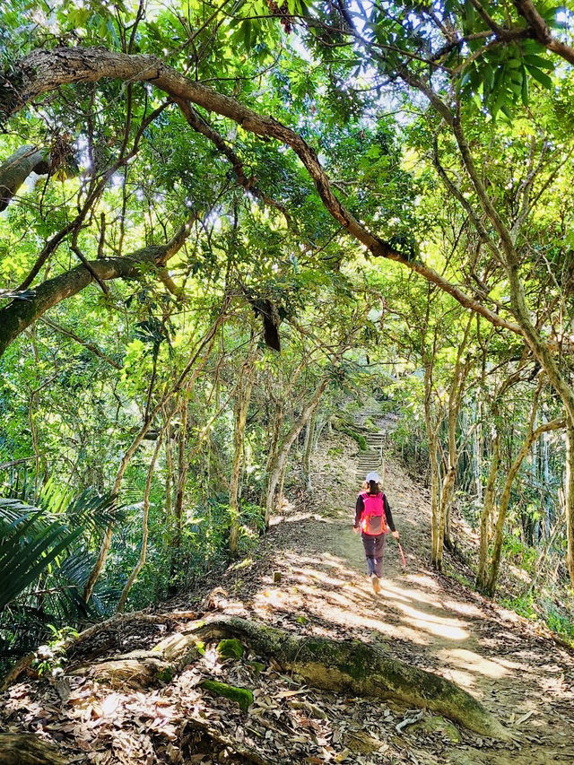 靜謐山林裡的大佛手——南觀音山步道小旅行