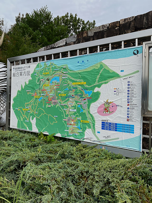 ┃香川県まんのう町┃秋限定の花畑コスモス