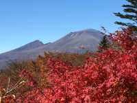 紅葉穴場スポット😶‍🌫️群馬のめがね橋🍁